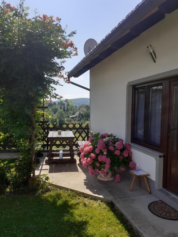Apartment Petra I Nikola Selište Drežničko Exterior foto