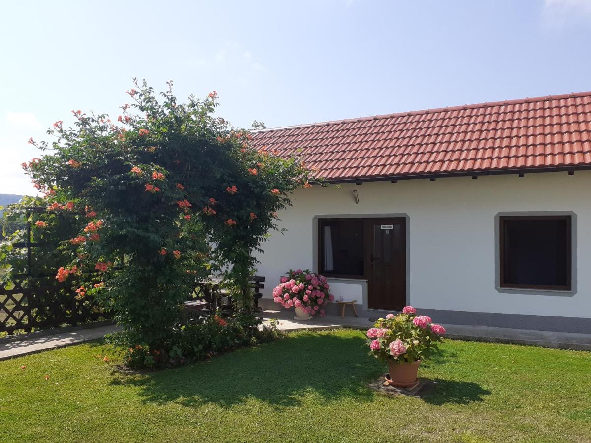 Apartment Petra I Nikola Selište Drežničko Exterior foto