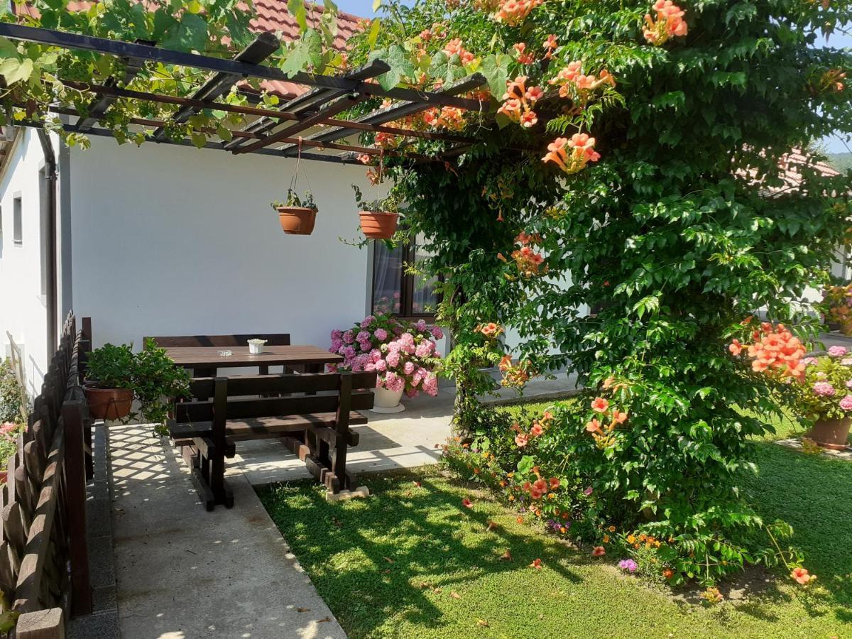 Apartment Petra I Nikola Selište Drežničko Exterior foto