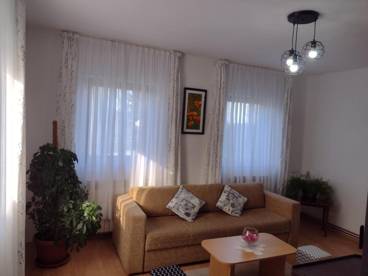 Apartment Petra I Nikola Selište Drežničko Exterior foto