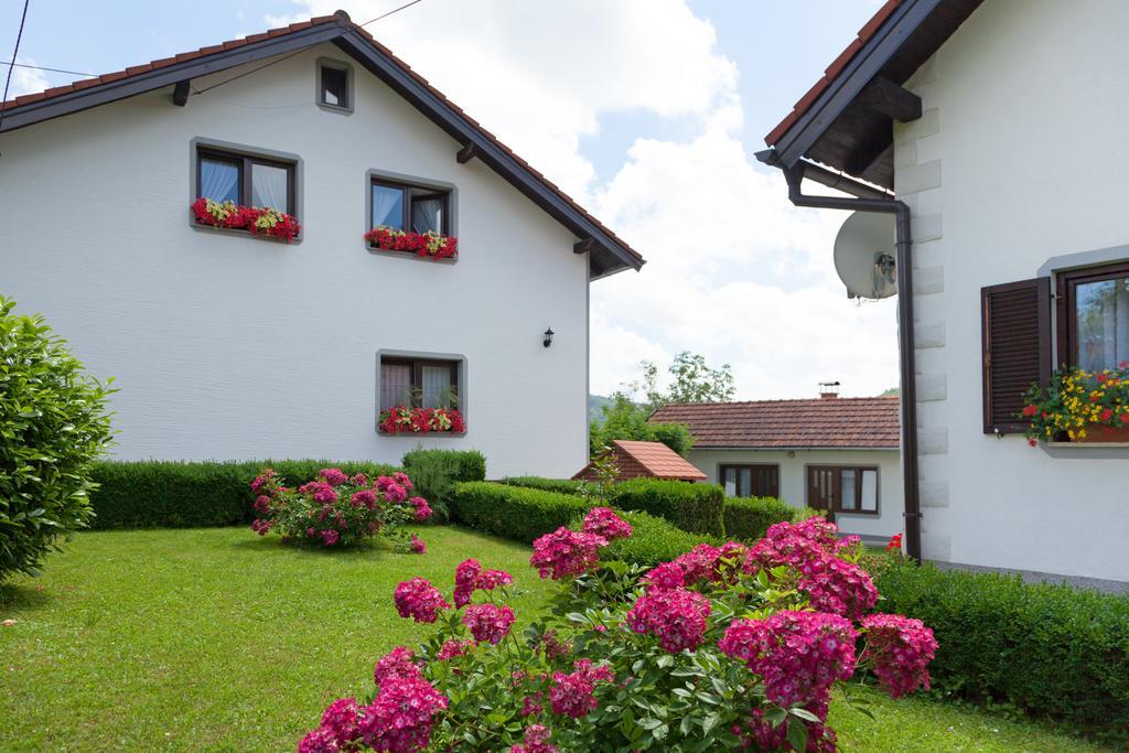 Apartment Petra I Nikola Selište Drežničko Exterior foto