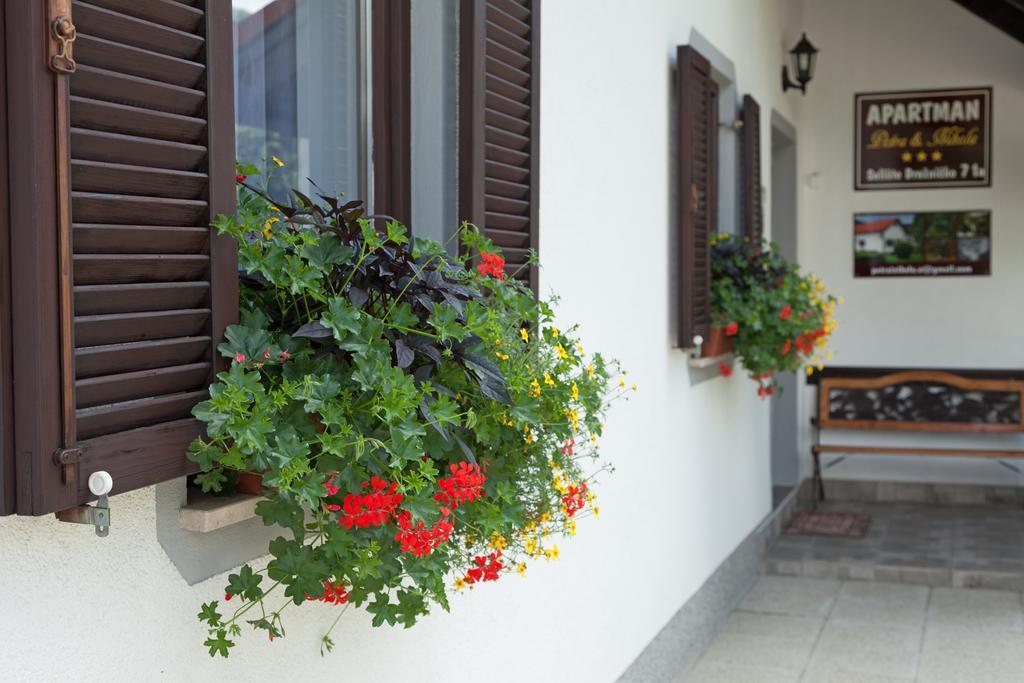 Apartment Petra I Nikola Selište Drežničko Exterior foto